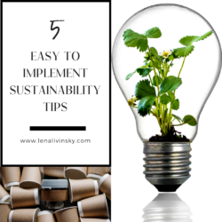 Copy of 5 easy to implement sustainability tips